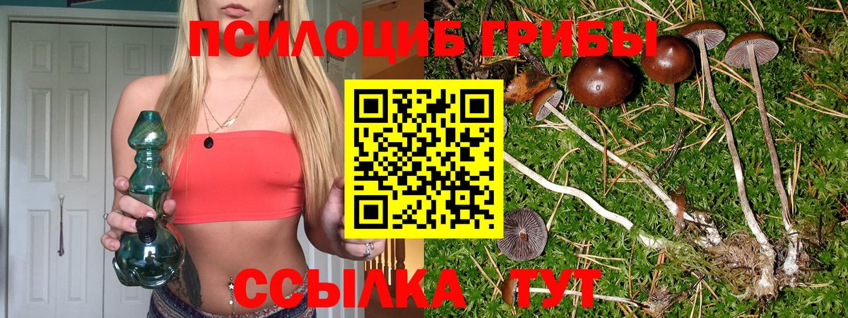 Галлюциногенные грибы мухоморы  Вход с VPN  продажа наркотиков  Заводоуковск 