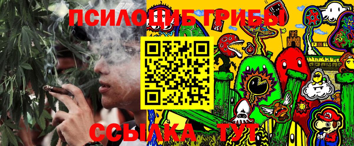 Галлюциногенные грибы Magic Shrooms Заводоуковск