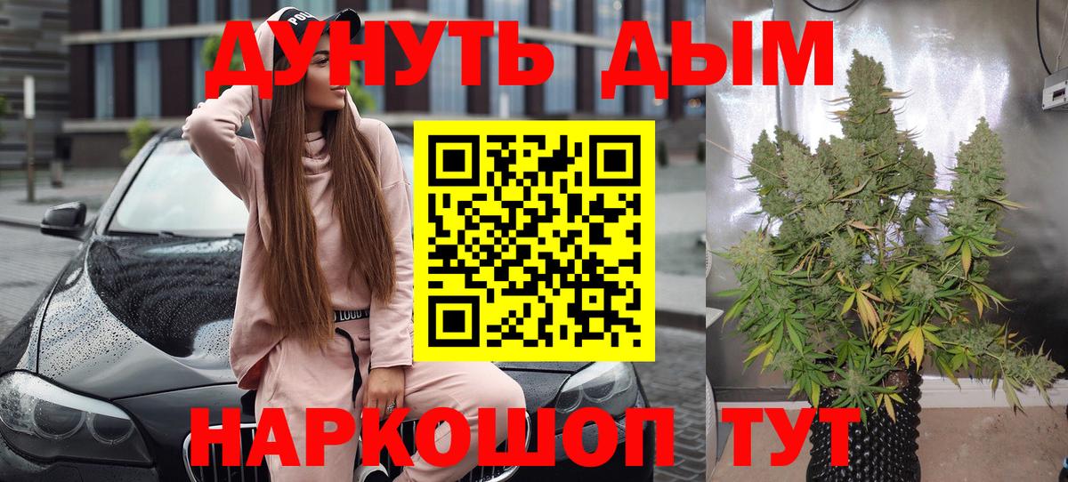 Конопля гибрид Заводоуковск